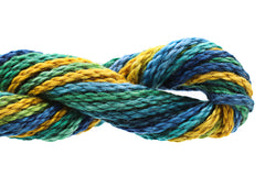 Caron Collection Watercolours - 310 Parrot