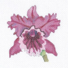 PLD Designs Cattleya Orchid coaster Needlepoint Canvas