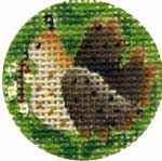 Melissa Shirley Designs Advent Treasure- Dove Needlepoint Canvas