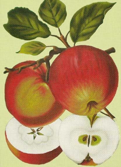 Melissa Shirley Designs Apples/Red A Needlepoint Canvas