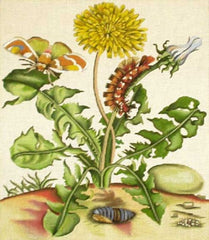 Melissa Shirley Designs Dandelion Needlepoint Canvas