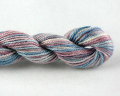 Enriched Threads Caron Collection Impressions Variegated - 040 Williamsburg