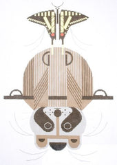 Charley Harper Racrobat Needlepoint Canvas