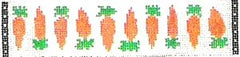 KCN Designers Carrots Book Weight Needlepoint Canvas