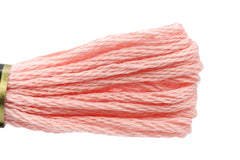 DMC Embroidery Floss - 0761 Rose Dawn