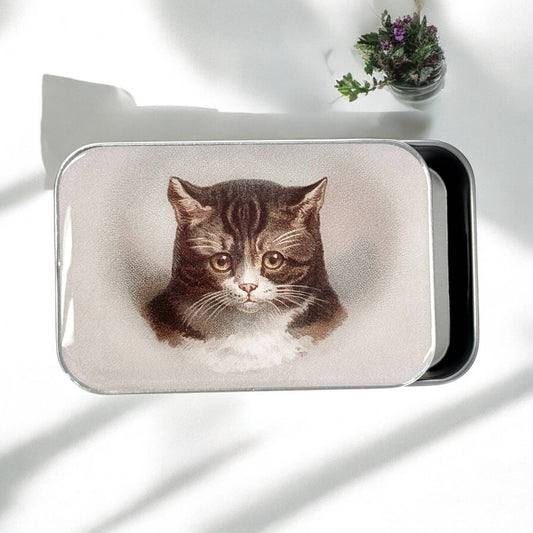 Firefly Notes Sweet Cat Face Notions Tin Needle Case