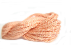 Needlepoint Inc Silk - 856 Hodgepodge Range