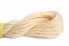 Needlepoint Inc Silk - 868 Pumpkin Range