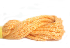 Needlepoint Inc Silk - 869 Pumpkin Range