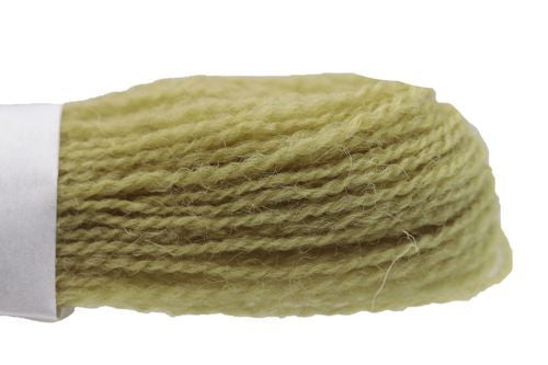 Appleton Crewel - 241 Olive Green Very Light