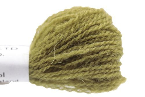 Appleton Crewel - 243 Olive Green