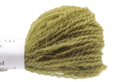 Appleton Crewel - 243 Olive Green