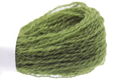 Appleton Crewel - 256 Grass Green Dark