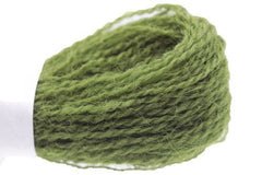 Appleton Crewel - 256 Grass Green Dark