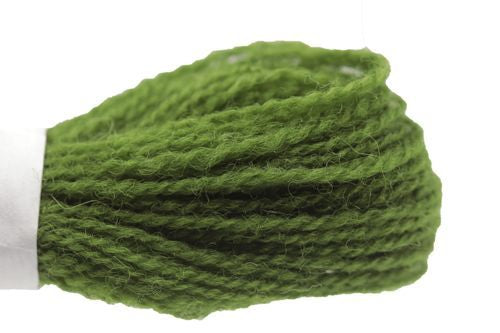 Appleton Crewel - 546 Early English Green Medium Dark