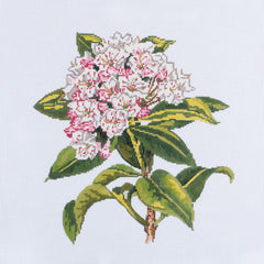 Barbara Russell Wildflower: Mountain Laurel Needlepoint Canvas