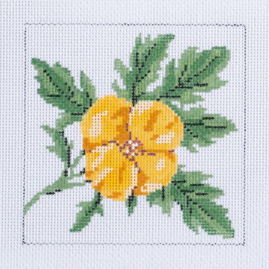 Barbara Russell Wild Flower Coaster: Wood Poppy Needlepoint Canvas