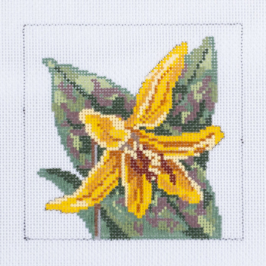 Barbara Russell Wildflower Coaster: Trout Lily Needlepoint Canvas