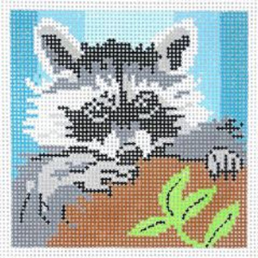 Barbara Russell Designs Youth Collection Raccoon Needlepoint Canvas