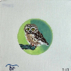 Blue Ridge Stitchery Rocky the Saw Whet Owl Needlepoint Canvas