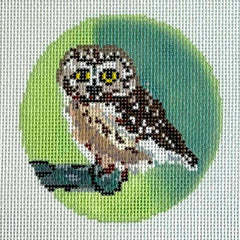 Blue Ridge Stitchery Rocky the Saw Whet Owl Needlepoint Canvas