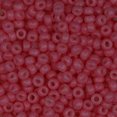 Sundance Designs Seed Beads Size 14/15 - 867 Cactus Flower