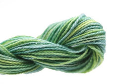 Enriched Threads Caron Collection Wildflowers - 067 Celadon