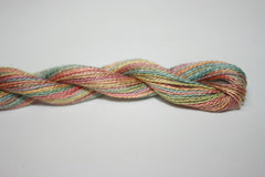 Enriched Threads Caron Collection Wildflowers - 143 Autumn Frost