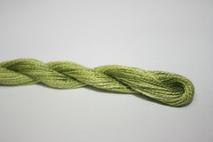 Enriched Threads Caron Collection Wildflowers - 206 Guacamole