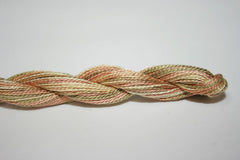 Caron Collection Wildflowers - 252 Prairie Grass