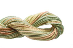 Caron Collection Wildflowers - 329 Early Fall