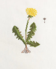 Cross Stitch Wildflowers and Grasses