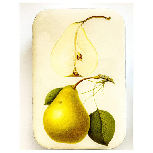 Firefly Notes Botanical Pear Magnetic Notions Tin Needle Case