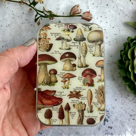 Firefly Notes Mushroom Magnetic Notions Tin Needle Case