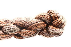 Gloriana Princess Perle - 208 Cocolat