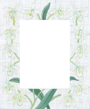 PLD Designs JulieMar White Orchids Picture Frame Needlepoint Canvas