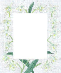 PLD Designs White Orchids Picture Frame Needlepoint Canvas