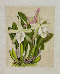 Melissa Shirley Designs Cattleya Orchid Needlepoint Canvas