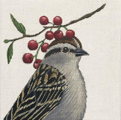 Melissa Shirley Designs Vicki Sawyer Leo the Chipping Sparrow Needlepoint Canvas