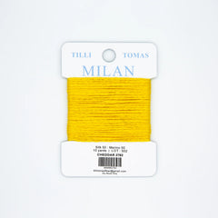 Planet Earth Milan Cards - 2762 Cheddar