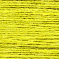 Planet Earth Milan - 1827 Swamp