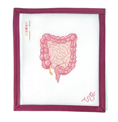 Spellbound Stitchery Anatomical Digestive Tract Needlepoint Canvas