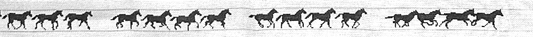 The Meredith Collection Trotting Horses Belt Needlepoint Canvas