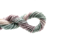 ThreadworX Overdyed Kreinik Braid #12 - 91156 Botanic Garden