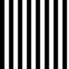 Tula Pink Fabric Tent Stripe - Black and White