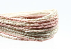 Weeks Dye Works Overdyed Floss - 1132 Saltwater Taffy