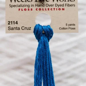 Weeks Dye Works Overdyed Floss - 2114 Santa Cruz