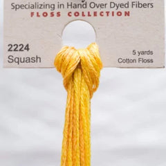 Weeks Dye Works Overdyed Floss - 2224 Squash