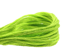 Weeks Dye Works Overdyed Floss - 2204a Absinthe