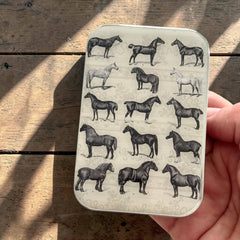 Firefly Notes Study of Horses Magnetic Notions Tin Needle Case